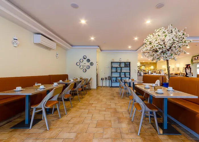 Turim Estrela Do Vau 4*